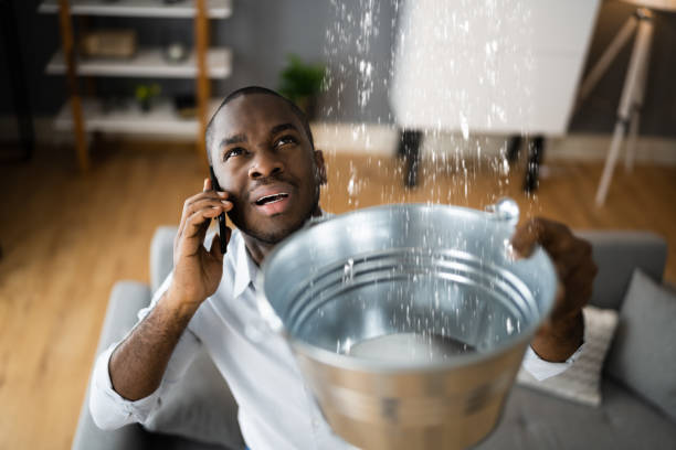 Best Basement water damage restoration  in Harrison, OH