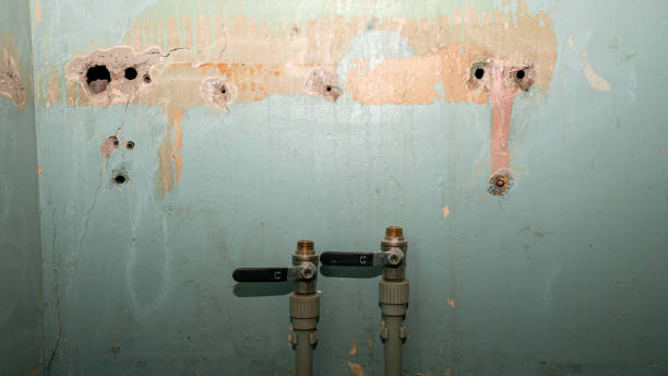  Harrison, OH Water damage restoration Pros