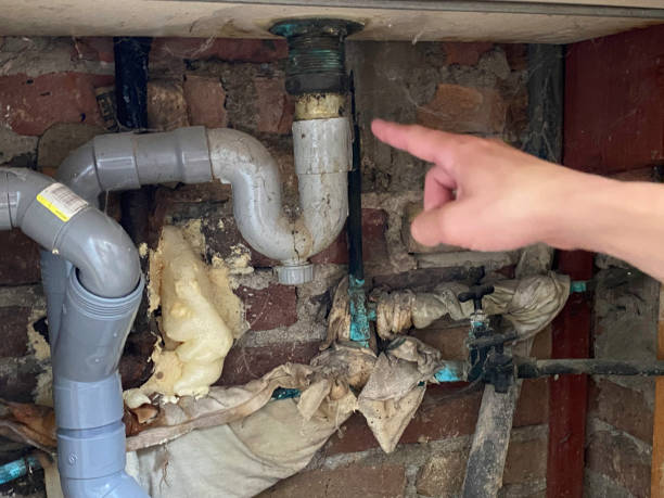 Best Flood damage cleanup  in Harrison, OH