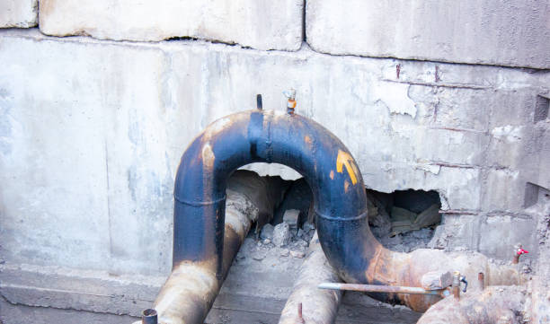 Best Local water damage restoration  in Harrison, OH