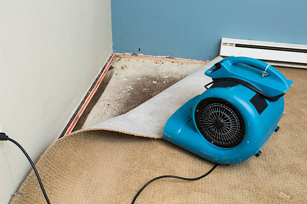 Best Water damage restoration near me  in Harrison, OH